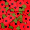 Column: ‘Surely it’s time Ireland embraced the memorial poppy’