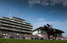 Camelot leads charge for Horse of the Year
