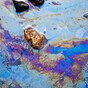 Bad smells and water pollution dominate compliance failures in environmental inspections