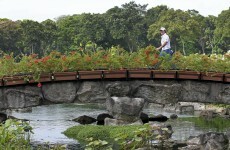 Bjorn outshines McIlroy in stormy Singapore