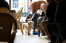 Niamh O'Reilly: Are we becoming more dog friendly than child friendly?