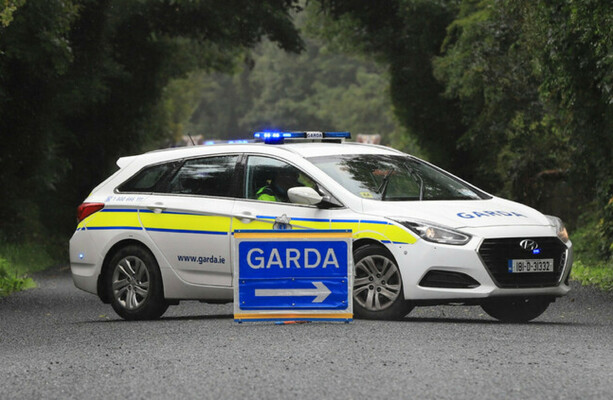 Pedestrian in her 80s dies after being struck by a truck in Co Roscommon