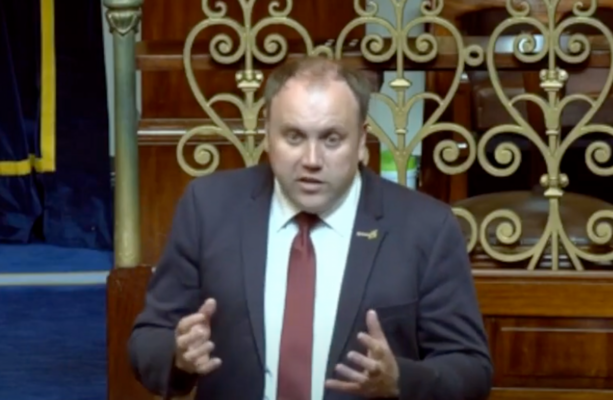 Fianna Fáil TD says learner drivers should be allowed drive a car unaccompanied
