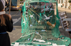Ireland and marine life: 'We should hang our heads in shame at our failure to protect the sea'