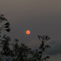 Smoke from Canada's wildfires is affecting how the sun looks over Ireland