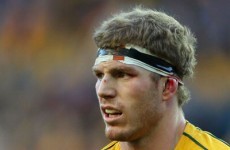 Wallabies lose Pocock to injury for England Test