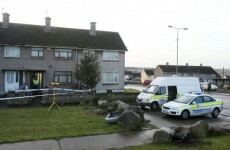 Eight in custody over Limerick double murder