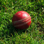 Rain washes out West Indies' T20 clash in Ireland