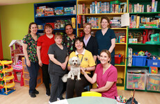 First therapy dog welcomed to Paediatric Unit at University Hospital Galway