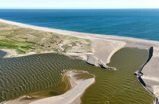 'We're going to end up with a toxic goo lagoon': Environmental crisis in Wexford raised in Dáil