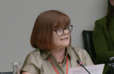 Children's Health Ireland CEO to make extensive apologies at health committee