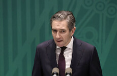 Ban on Irish imports from Israeli settlements in Occupied Palestine is approved by Cabinet