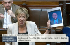 Ivana Bacik holds up meme of bald baby JD Vance in the Dáil
