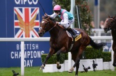 Want your horse to hook up with Frankel? That'll be £125k in stud fees, please