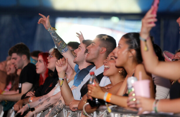 Irish people love live music but we're not fans of the high cost of tickets, research shows