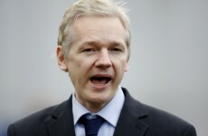 Assange 'could face Guantanamo or death' if extradited
