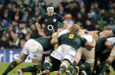 Waiting on the wings: McFadden happy to take his Irish chances where they come