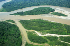 Environmental activist shot dead in Peru over work to save Amazon rainforest