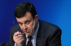 Ireland borrows first tranche of bailout funds
