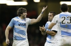 November tests: Lobbe eyes Irish scalp as Pumas seek to end year on a high