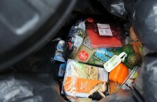 Want to cut food waste? Check the dates, says safefood