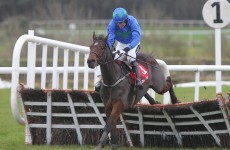 Hurricane Fly secures victory following Go Native's fall