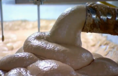 WATCH: The most disgusting video of a hot dog factory you’ve ever seen