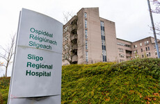 Woman in her 70s dies after being attacked by swarm of bees in Co Mayo