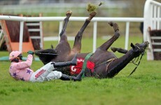 Meade waits for green light on Go Native