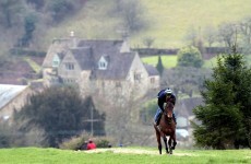 Injury forces Imperial Commander out of Betfair