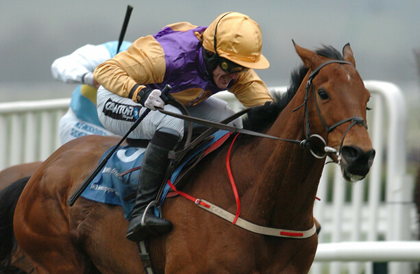 Tributes paid after Champion Hurdle winner Brave Inca dies, aged 27