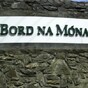 Bord na Móna worker dies in power station accident