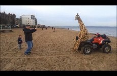 The best way to do good deeds? While dressed as a giraffe.