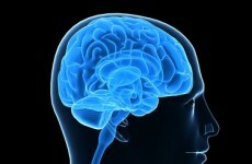 Global traumatic brain injury rates could be six times higher than thought - study