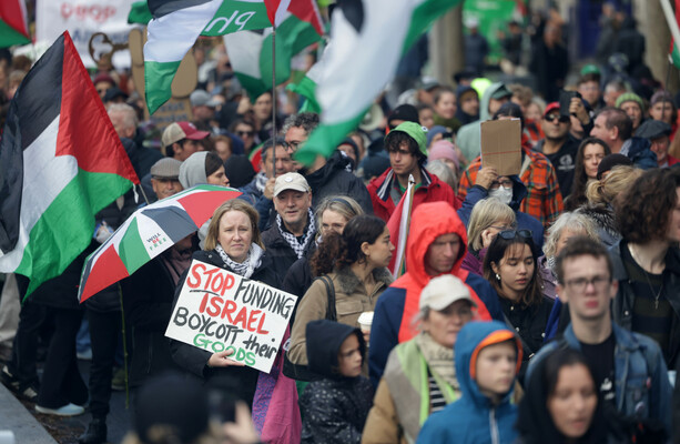 Pro-Palestine activists protest at Dublin port tunnel