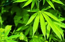 Five men due in court over Cork drugs seizure