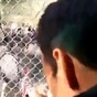 Turkeys talk back to man, man loses all grip on reality