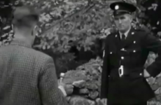 Video: Tackling Irish Christmas tree thefts in 1962