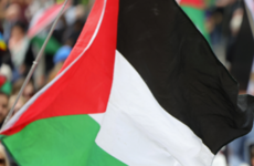 Gardaí violated policies and human rights at Palestine protest, report says