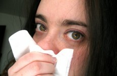 Swine flu rates have doubled again