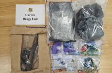 Explosive device and 3D printed firearms seized by gardaí in Co Carlow