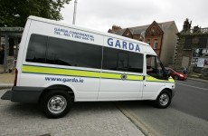 Man arrested and drugs seized over fatal 2010 shooting in Louth