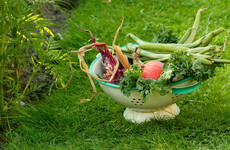 Opinion: The relationship between farming and pharma is closer than you might like