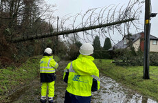 Public events should be cancelled when Status Orange winds forecast, Storm Éowyn review says