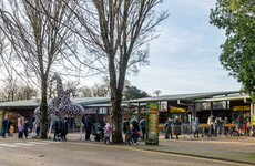 Fota to remain closed during mid-term break following bird flu outbreak