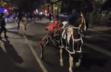 ‘Someone will die if this continues’: Animal welfare charity slams use of horses in Citywest riot