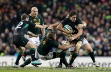 November tests: McCarthy plans to replicate Bok-bashing form