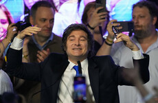 Argentina's Milei vows more reforms after election win