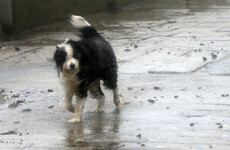 October was 'mild, dull and wet', with record low sunshine recorded in Donegal