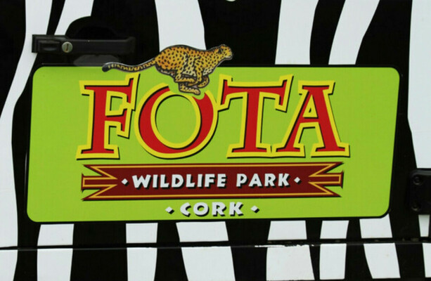 Fota Wildlife Park to remain closed until the end of November as 73 birds euthanised
